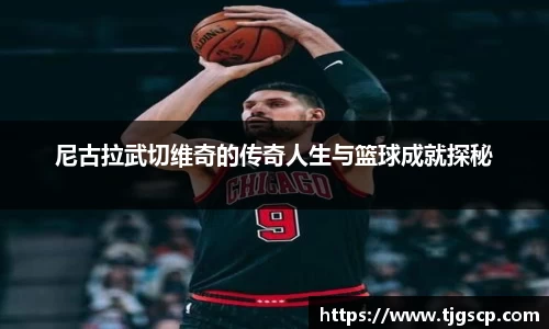 尼古拉武切维奇的传奇人生与篮球成就探秘